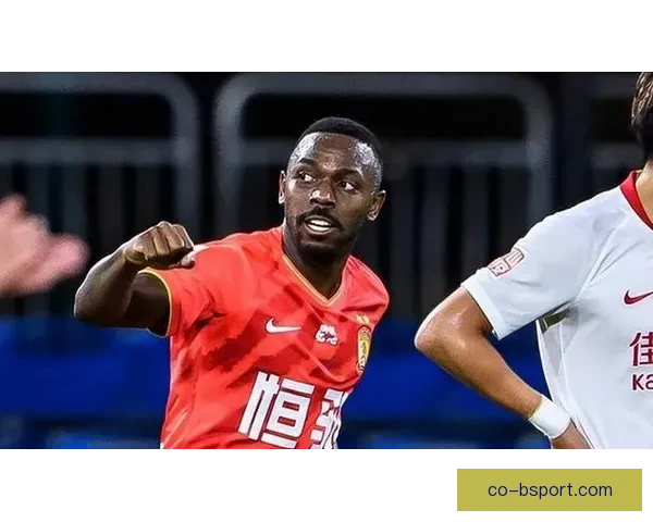 中国男足归化前锋费南多正式转会申花引发新赛季锋线格局球迷期待