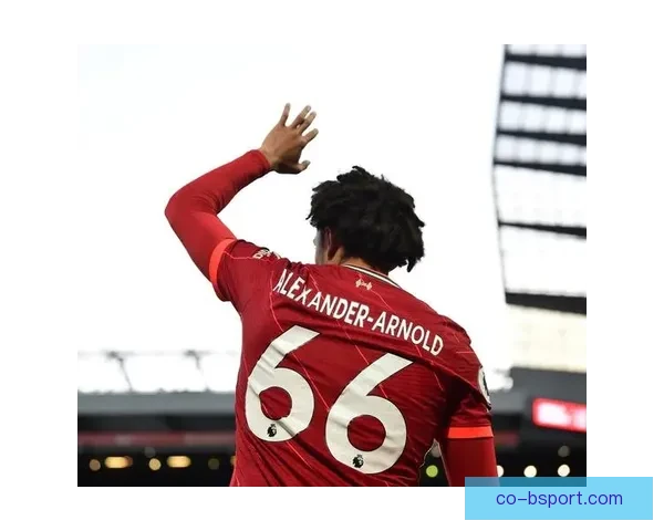 亚当阿姆斯特朗附加赛决赛绝杀一球点燃全场带队冲上英超荣耀之路