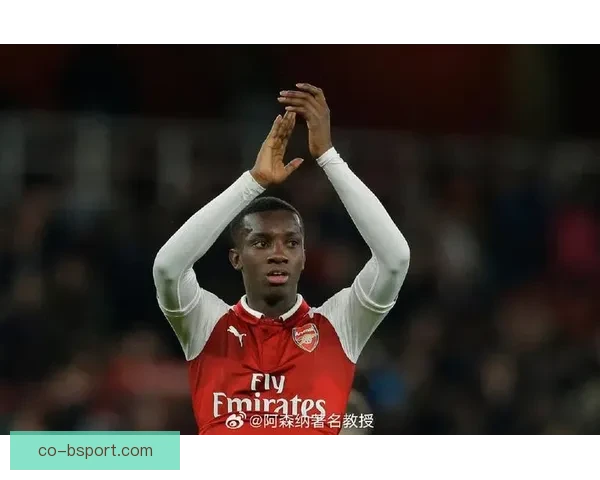 恩凯蒂亚转会加盟水晶宫引发英超新篇章期待